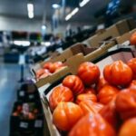 Todas las tiendas de comestibles que aceptan EBT en línea (¡entrega o recolección!)