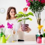 Como puedo vender plantas desde casa en 2023