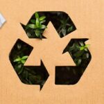 12 cosas que puedes reciclar por dinero