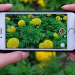 Cómo invertir un video en iPhone