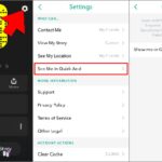 Cómo ver cuántos amigos tienes en Snapchat