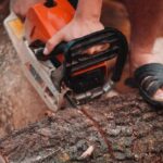 Eliminación gratuita de árboles cerca de mí: ¡ formas de eliminar árboles gratis!