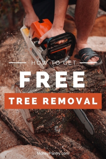 Así es como puedes eliminar ese árbol muerto de forma gratuita...