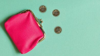 purse with pound coins