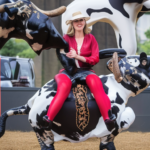 Cuanto cuesta alquilar un toro mecanico