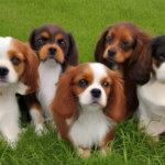 Cuanto cuesta un hotel para perros