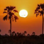 Viajar a Las Islas Canarias