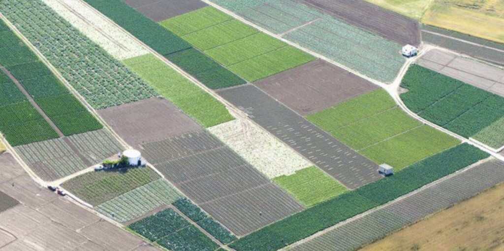 Cuántos pies tiene un acre